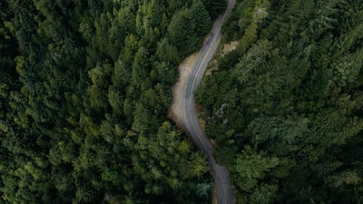 Trees surround the aerial photography of asphalt pavement

